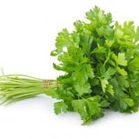 perejil para el sarro