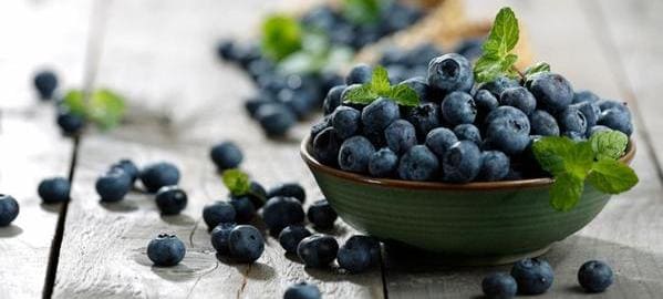 arandanos dolor de encias