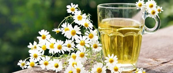 manzanilla para el paladar inflamado